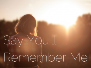 Wildest Dreams - Taylor Swift