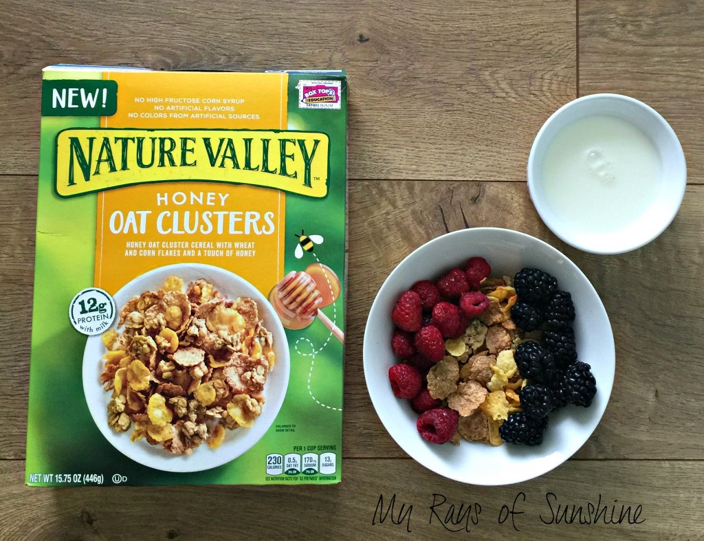 myraysofsunshine.com/nature-valley-cereal