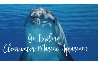 Go Explore Clearwater Marine Aquarium