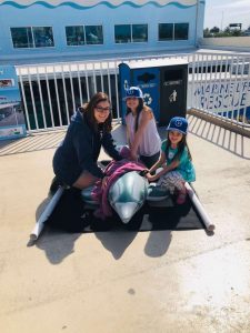 Go Explore Clearwater Marine Aquarium and Be Winter's Valentine